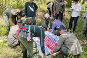 Kemenhut gelar Operasi Gabungan Merah Putih Lanskap Seblat 2026 di Bengkulu