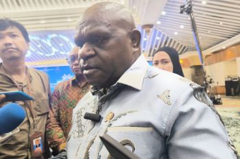 Human rights minister urges probe into Central Papua fatal shooting