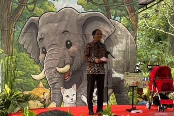 Indonesia pledges habitat restoration to protect Sumatran elephants
