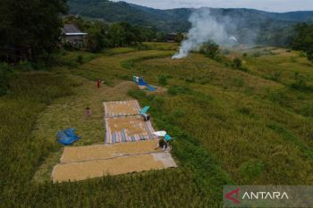 Indonesia food security holds firm amid global pressure