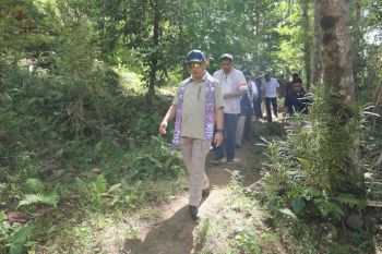 Indonesia boosts development in border areas, minister affirms