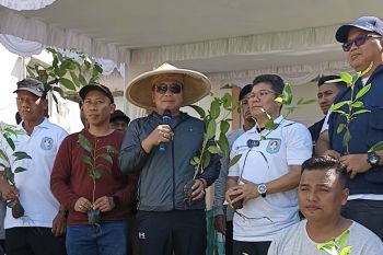 ANTARA Menanam di Kubu Raya wujudkan kelestarian lingkungan