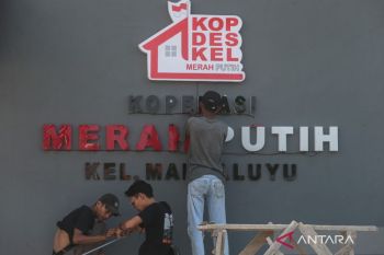 Red and White Village Co-ops: Big ambition, bigger execution challenge