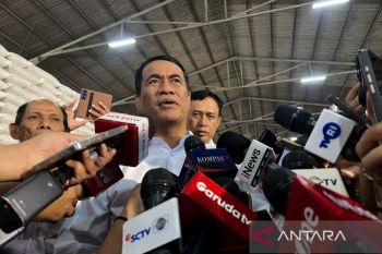 Indonesia&rsquo;s rice reserves hit record 5 million tons, Minister says