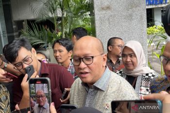 RI's green energy projects attractive for foreign investors: minister