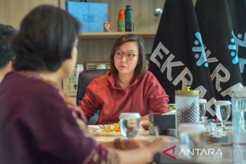 Indonesia explores Meta tie-up to boost creative exports