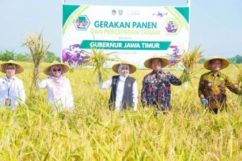 Jatim mantapkan posisi lumbung pangan, produksi padi ditarget naik 5 persen