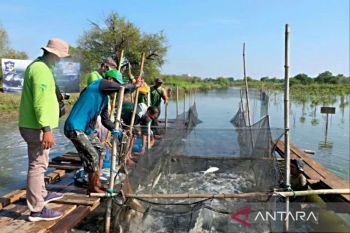 Menanam hijau, memanen laut