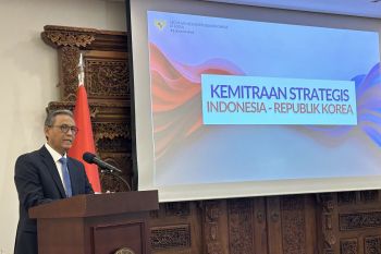 Energy, AI anchor Indonesia-South Korea relations: envoy
