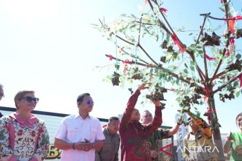 Gubernur sebut Festival Bakcang perkuat toleransi dan pariwisata Kalbar