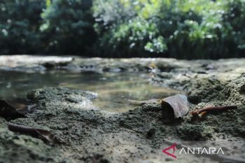 Geosite Dumaring jadi percontohan nasional pelestarian karst purba