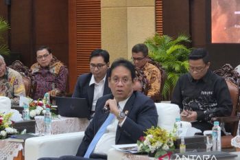 Indonesia to issue US$1 billion debut Panda Bond on July 23