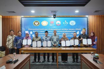 PTPN I jadi pusat riset bibit unggul perkebunan nasional