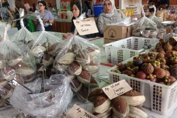 Pemkab Lebak bantu ratusan UMKM dengan sertifikasi dan bantuan HAKI
