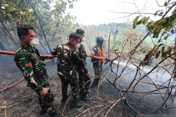 TNI AU kerahkan personel untuk padamkan kebakaran lahan di Balikpapan