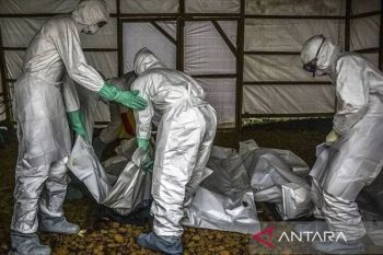 Kasus Ebola di Kongo meningkat jadi 6.604 kasus