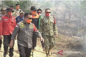 Kemenhut tetapkan dua tersangka pembakaran hutan di Tanjung Jabung Barat Jambi