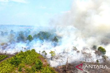 Menhut: Pemerintah andalkan operasi darat tangani karhutla gambut