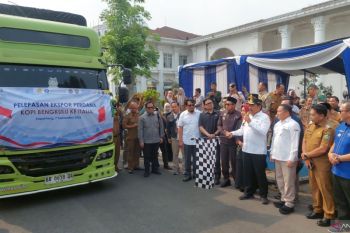 Bengkulu perkuat produksi kopi penuhi pasar ekspor