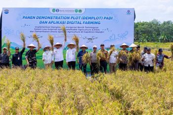Tatkala emas hijau dan teknologi menyatu  di timur Kalimantan