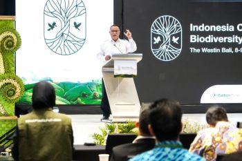 Indonesia's carbon market must drive real climate action: Minister