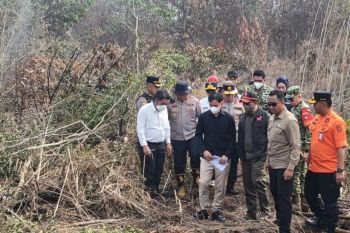 VP Gibran inspects Kalimantan fires, ensures effective handling