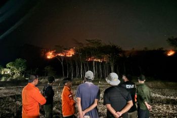 Fire burns 72 hectares in Meru Betiri National Park in East Java