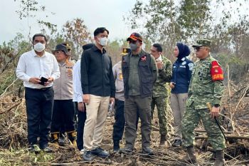Indonesia intensifies forest fire response in six priority provinces