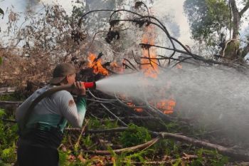 Indonesia says it adheres to ASEAN protocols amid transboundary haze