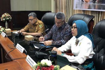 Pemprov Maluku-Selandia Baru perkuat kemitraan program listrik desa