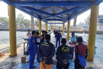 Polisi dalami perburuan penyu sisik di Raja Ampat oleh WNA Tiongkok