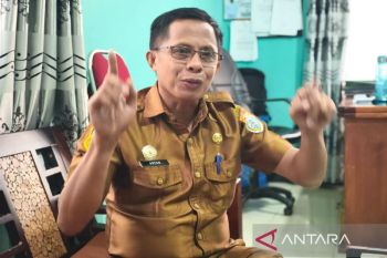 DLH Nabire bangun rantai ekonomi dari sampah botol plastik