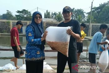 DPKHP Cianjur menyalurkan bantuan bibit ikan sebanyak 300 ribu ekor