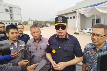 Indonesia may pursue criminal charges over suspected turtle hunting