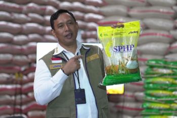 BULOG Optimalkan Dua Jurus Penugasan Pemerintah untuk Kendalikan Harga Beras