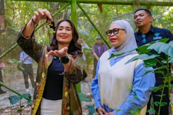 TN Bantimurung-Bulusaraung Sulsel tawarkan wisata yang berbaur dengan alam