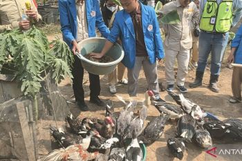 Budidaya maggot di Sangatta manfaatkan limbah SPPG