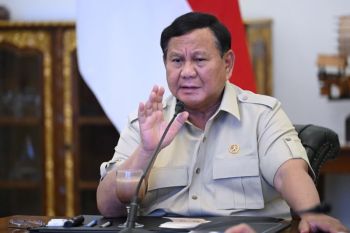 Presiden undang akademisi bahas pencegahan kebakaran di lahan gambut