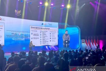 Soal rekening massal, Airlangga sebut 74 juta orang belum punya akun
