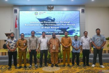 Papua Barat Daya dukung skema pembiayaan konservasi pari manta di Raja Ampat