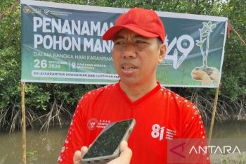 Karantina Papua Barat Daya beri pendampingan pelaku ekspor