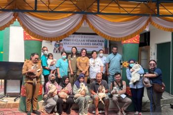 Balai Karsntina vaksinasi 105 hewan cegah rabies di PBD