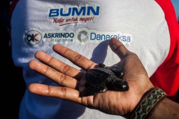 BUMN HADIR-EDUKASI PELESTARIAN LINGKUNGAN