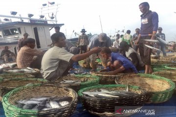 Memilah ikan hasil tangkapan