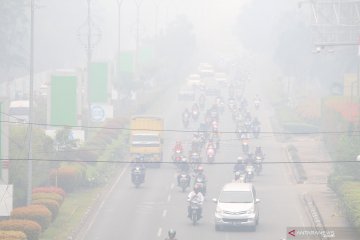 Kabut asap di Kalbar sebabkan tingkat hunian hotel anjlok