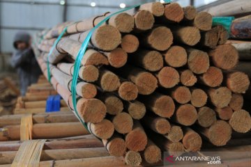 Permintaan rotan mentah menurun