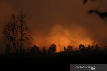 Kebakaran Hutan Dan Lahan