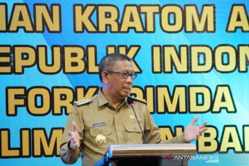 Diskusi Tanaman Kratom