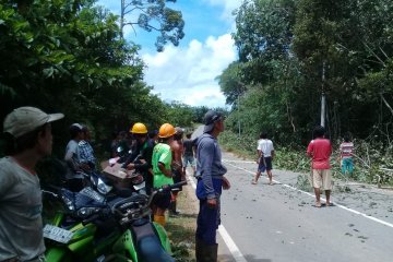 PLN pasok listrik 24 jam ke enam desa di Kalbar