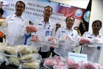 Kasus paket ganja kiriman dari Medan